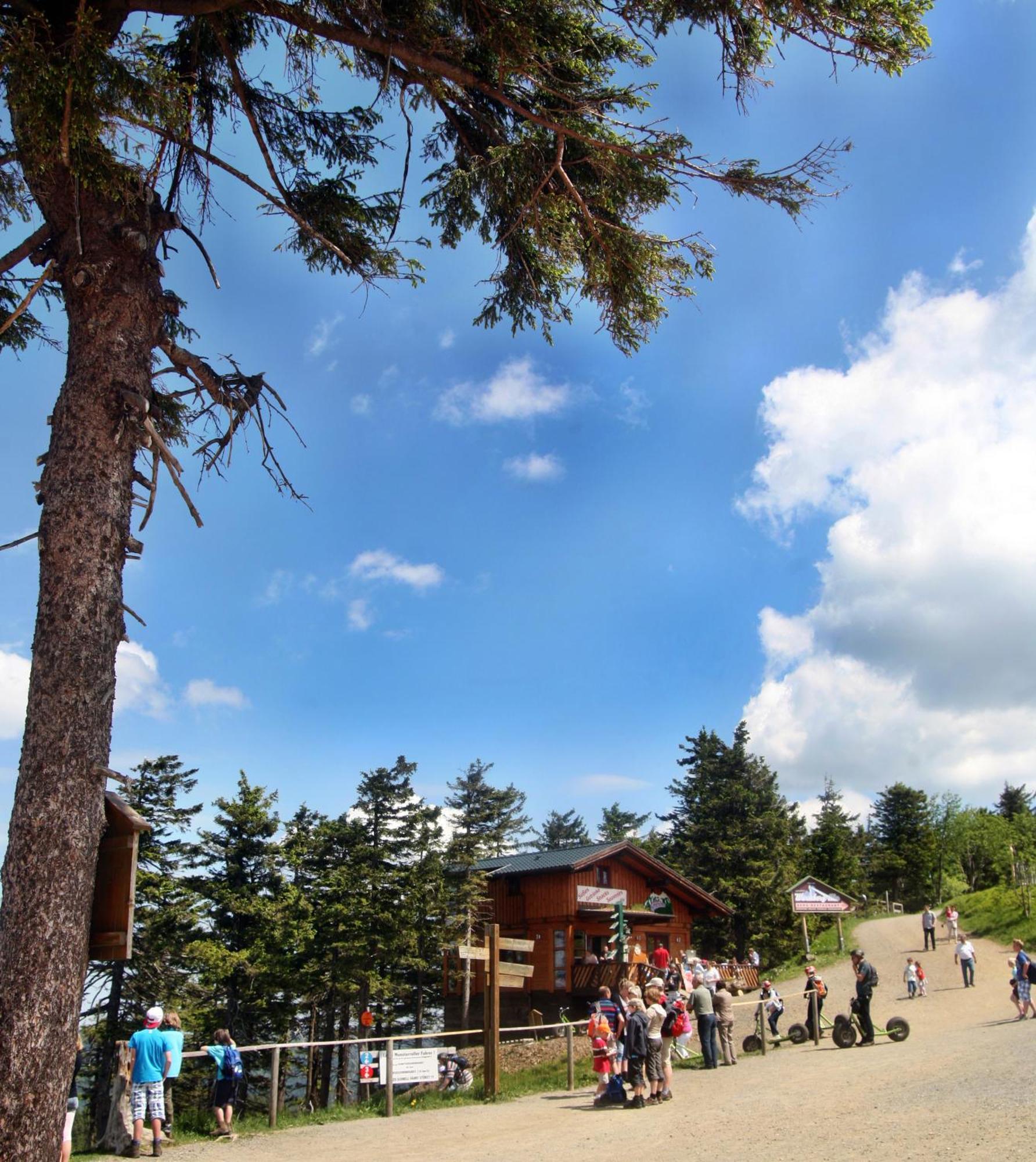 Relexa Hotel Harz-Wald Braunlage Gmbh Kültér fotó